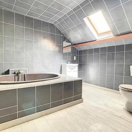 Rive Gauche A Centre - Gare - Aeroport 샤를루아